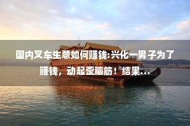 国内叉车生意如何赚钱:兴化一男子为了赚钱，动起歪脑筋！结果…