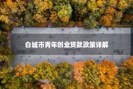 白城市青年创业贷款政策详解