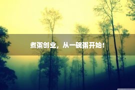 煮粥创业，从一碗粥开始！