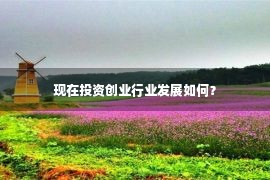 现在投资创业行业发展如何？