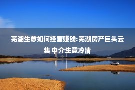 芜湖生意如何经营赚钱:芜湖房产巨头云集 中介生意冷清