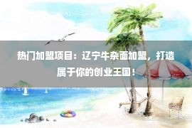 热门加盟项目：辽宁牛杂面加盟，打造属于你的创业王国！