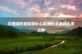 王维玮创业指导中心启迪创业者的心灵火种