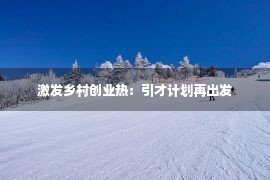 激发乡村创业热：引才计划再出发