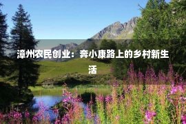 漳州农民创业：奔小康路上的乡村新生活