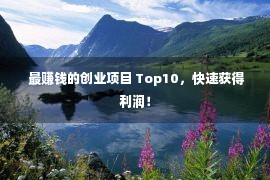  最赚钱的创业项目 Top10，快速获得利润！