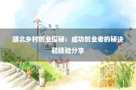 湖北乡村创业探秘：成功创业者的秘诀和经验分享