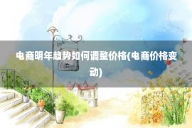 电商明年趋势如何调整价格(电商价格变动)