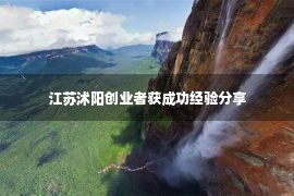 江苏沭阳创业者获成功经验分享