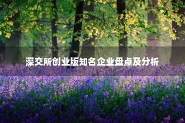 深交所创业版知名企业盘点及分析