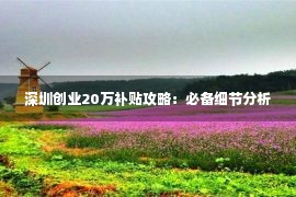 深圳创业20万补贴攻略：必备细节分析