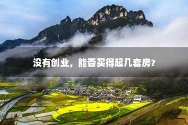 没有创业，能否买得起几套房？