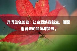 洋河蓝色创业：让白酒焕发新生，唤醒消费者的品味与梦想。