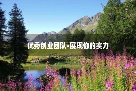 优秀创业团队-展现你的实力