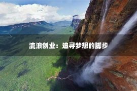 流浪创业：追寻梦想的脚步