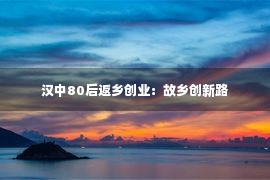 汉中80后返乡创业：故乡创新路