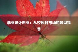 毕业设计创业：从校园到市场的转型指导