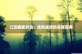 江苏鑫威创业：走向成功的关键因素