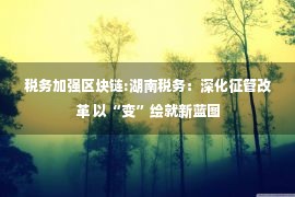 税务加强区块链:湖南税务：深化征管改革 以“变”绘就新蓝图