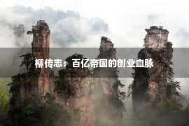 柳传志：百亿帝国的创业血脉