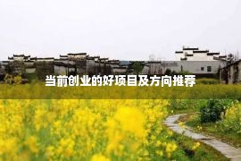 当前创业的好项目及方向推荐