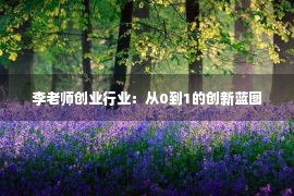 李老师创业行业：从0到1的创新蓝图