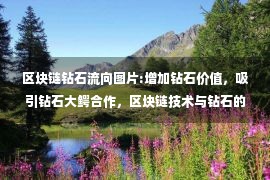 区块链钻石流向图片:增加钻石价值，吸引钻石大鳄合作，区块链技术与钻石的结合！