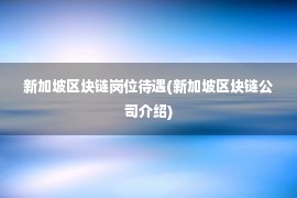 新加坡区块链岗位待遇(新加坡区块链公司介绍)