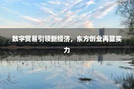 数字贸易引领新经济，东方创业再显实力