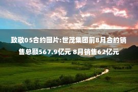 致敬05合约图片:世茂集团前8月合约销售总额567.9亿元 8月销售62亿元