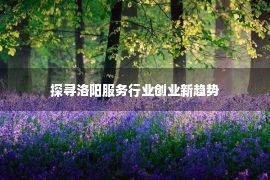 探寻洛阳服务行业创业新趋势