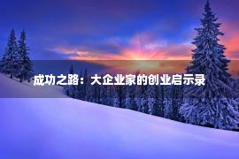 成功之路：大企业家的创业启示录