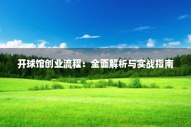 开球馆创业流程：全面解析与实战指南