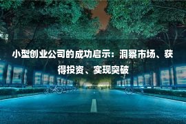 小型创业公司的成功启示：洞察市场、获得投资、实现突破