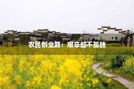 农民创业路：艰辛却不孤独