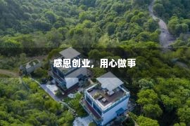 感恩创业，用心做事