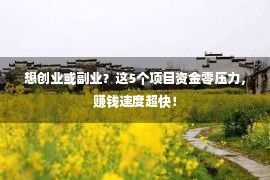 想创业或副业？这5个项目资金零压力，赚钱速度超快！