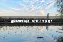 徘徊者的选择：创业还是放弃？