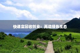 快递盒回收创业：再造绿色生态