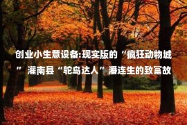 创业小生意设备:现实版的“疯狂动物城” 灌南县“鸵鸟达人”潘连生的致富故事丨行走新时代鱼米之乡