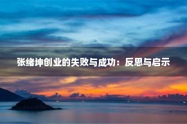 张绪坤创业的失败与成功：反思与启示