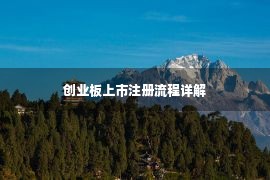 创业板上市注册流程详解