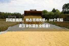 开拓新商机，抢占市场先机：30个无标点汉字创建创业机会！