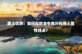 属土优势：如何在创业中充分利用土属性特点？