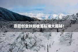 岳阳创业扶持收费标准大揭秘！