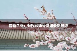 崭新企业：短视频账号资讯最新报道