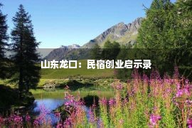 山东龙口：民宿创业启示录