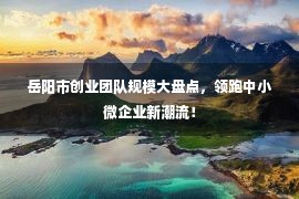 岳阳市创业团队规模大盘点，领跑中小微企业新潮流！