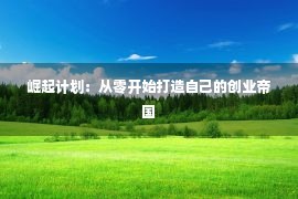 崛起计划：从零开始打造自己的创业帝国