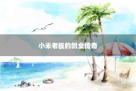 小米老板的创业传奇